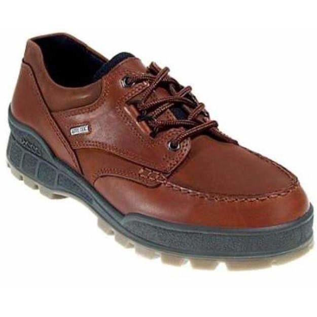 Ecco Track 25 Bison Mens Goretex Laced Walking Shoe 831714 Finn Footwear