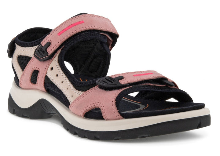 Ecco 69563 store